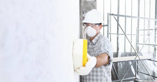 Mold Remediation for Vacation Homes